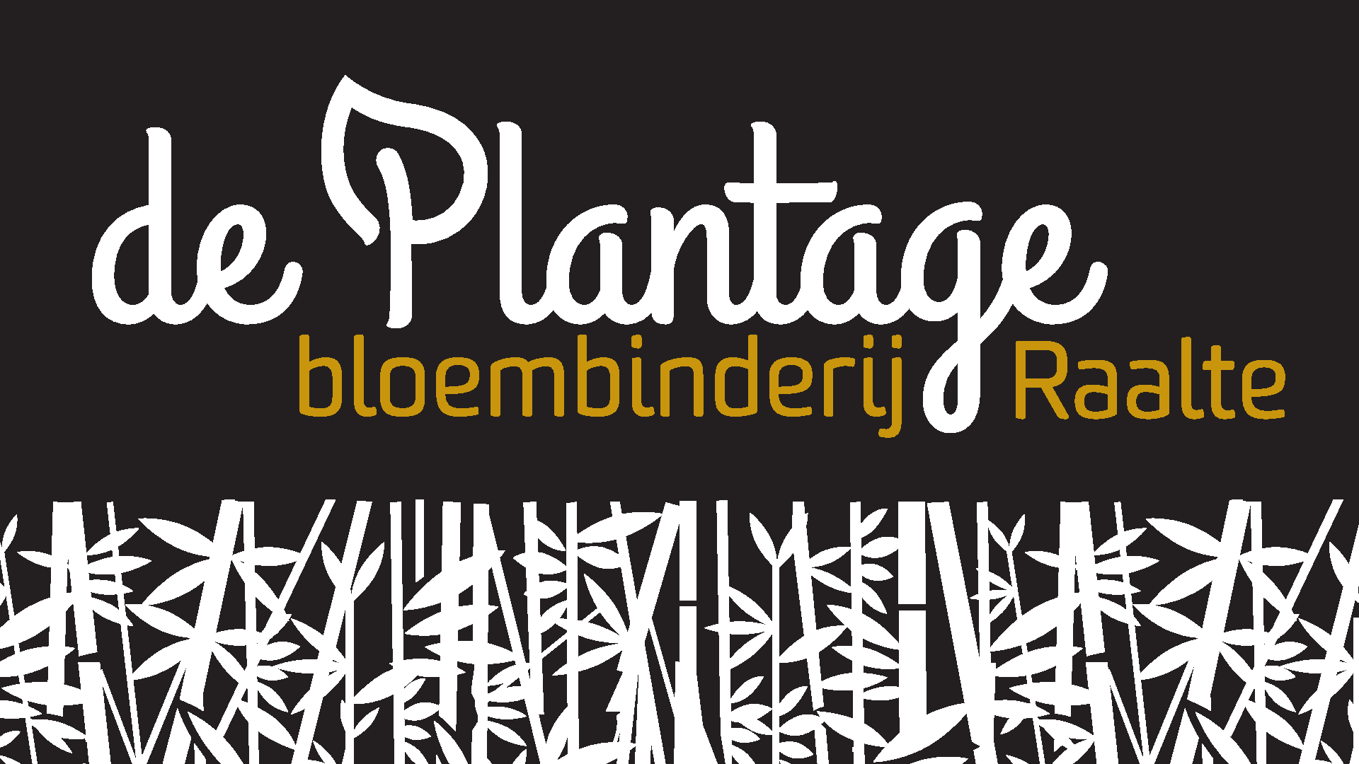 Naar de startpagina